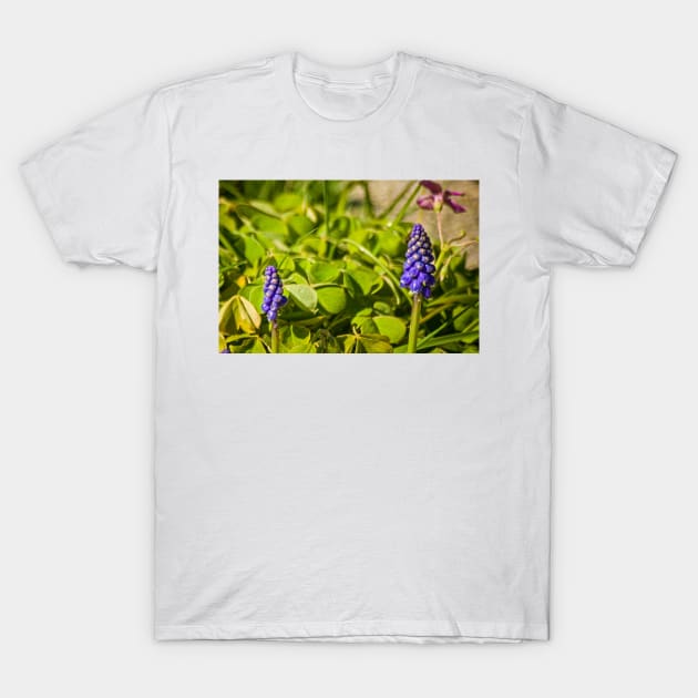 elb muscari T-Shirt by pcfyi